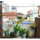 백화점약국 이미지