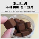 초콜렛트리 | 초코트리 수제 파베 생초콜릿 후기｜100% 카카오버터 생초콜릿 선물 추천