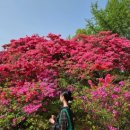 완산-18 이미지