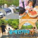 경북 키즈캠핑장 고령 숲에안기다 수영장 피자만들기 등 사이트 정보까지