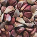 에프엠씨코리아 이미지