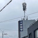 상림탕