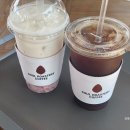 소나무숲카페