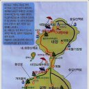 죽전청과 이미지