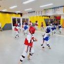 최강태권도 이미지