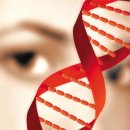 바이오헬스코리아 이미지