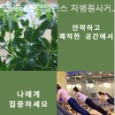 필라테스더밸런스차병원
