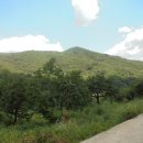 은행1리 이미지