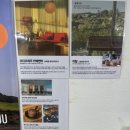대정읍 구연청사무실 옆 | 제주 서귀포 <제주돌고래힐링투어> 돌고래보는곳 돌고래투어 돌고래스팟