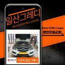 일산그레디 이미지