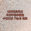 알비에스 이미지