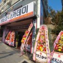 버드리아카데미부산분원