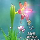 행복가득 이미지