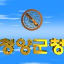 대한민국 충청남도 청양군청(靑陽郡廳) 3D 애니메이션 입니다 이미지