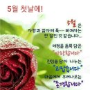 머다 Daum카페