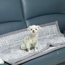 송원서로1L-10 | 10월 넷째 주~마지막 날까지 일상(+대장 내시경 후기)