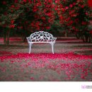 삼달리-17 이미지