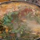 신돌고래 네이버블로그