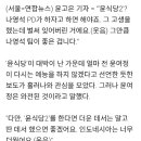 윤여정 "윤식당2? 나영석이 하자면 해야죠"③ 이미지