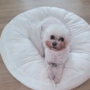 해림동물병원 이미지