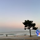선데이모먼트 이미지