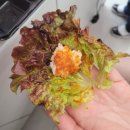 연산동 점심 도시락맛집 &#39;젓가락질 잘해야만 밥을먹나요&#39;