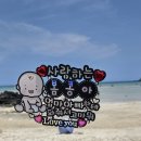 서귀포관악단 최고 맘을 위한 태교 음악회 | [임신 16주차] 안정기 시작, 제주도 태교여행(심플파이브, 으뜨미식당, 제주돌고래힐링투어, 파르나스호텔)
