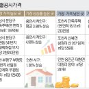 금강제화현대