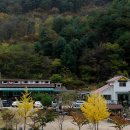 방태산솔마루 이미지