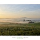 버덩목장 이미지