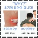 척추운동공간 이미지