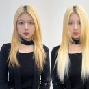 붙이다니 이미지