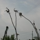 방산농장 이미지