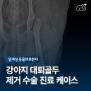 임재성동물의료센터 네이버블로그
