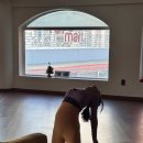 만복할인마트 | 2026년 2월결산; 28일 길다면 길고 짧다면 짧은 2월 드디어 봄봄봄✨