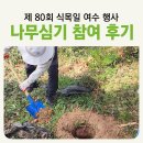 소망의 나무 | 제 80회 2025 식목일 행사 여수 소망 나무 심기 참여 후기 예울마루 일대 편백나무 청소년 소설 추천