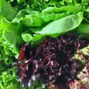 늘푸른농장1 이미지