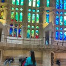 반도크레인 | 마이리얼트립 할인코드 3월 사그라다 파밀리아 예약 완공 유럽 바르셀로나 여행 스페인 성당