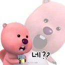 로즈문 이미지