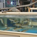 월봉시장 이미지