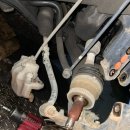 영카센타 이미지