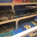 논현1-113 이미지