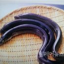 영일만검은돌장어 이미지