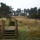 고성장수물 이미지