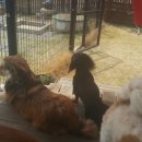 청평옆집언니 이미지