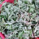 재철농장 이미지