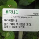 한국특산품