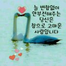 사랑해요 이미지
