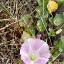 둥지광택 이미지