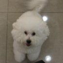 제니샵